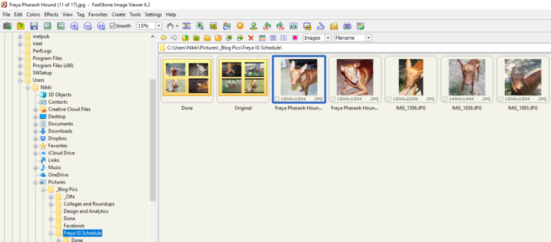 20 Blogging Tools I Use Every Day to Make Life Easier