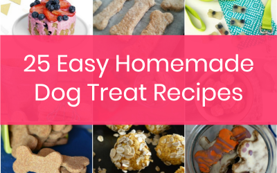 Want to save money and give your dog a healthier snack where you control the ingredients? Try these easy homemade dog treats recipes your pooch will devour! 