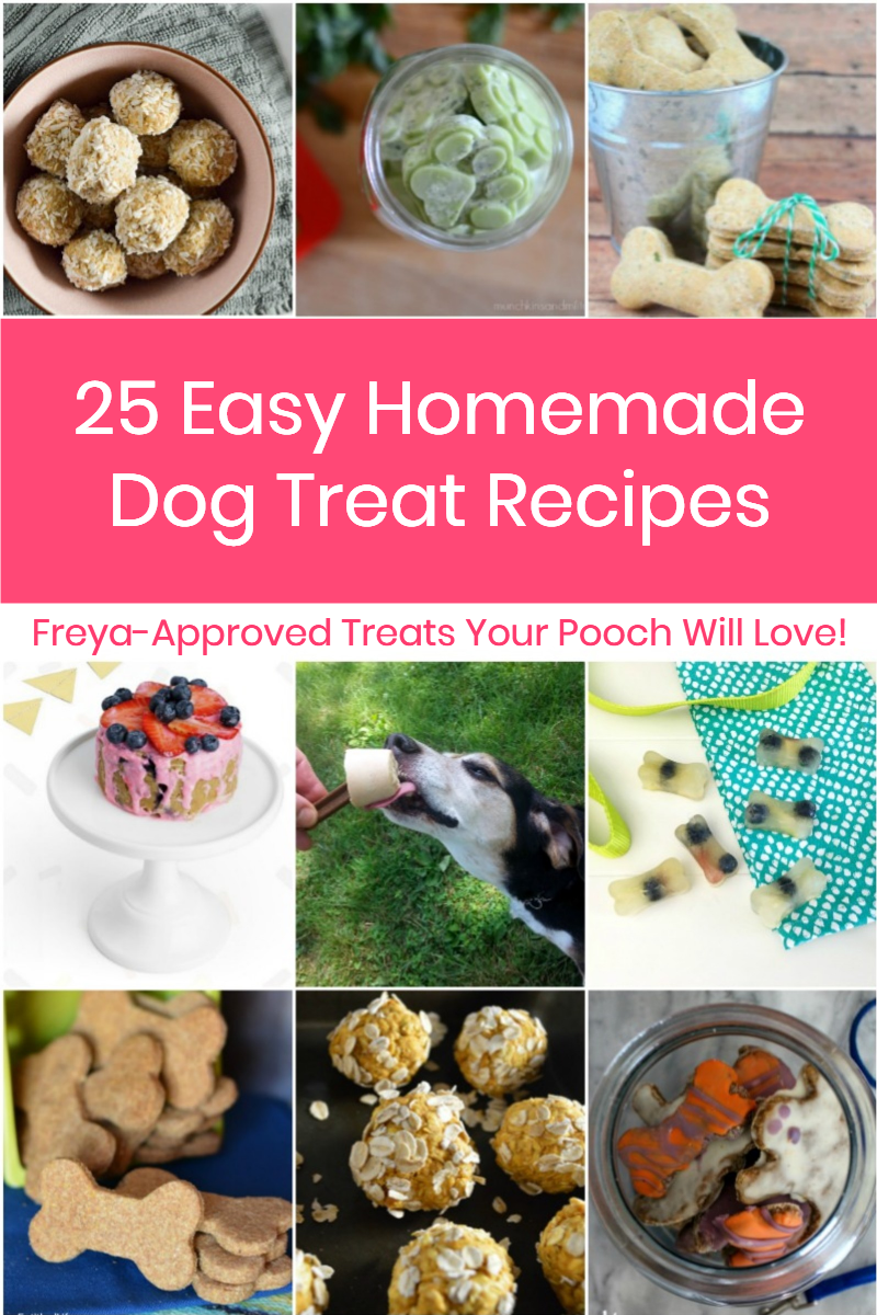 Want to save money and give your dog a healthier snack where you control the ingredients? Try these easy homemade dog treats recipes your pooch will devour! 