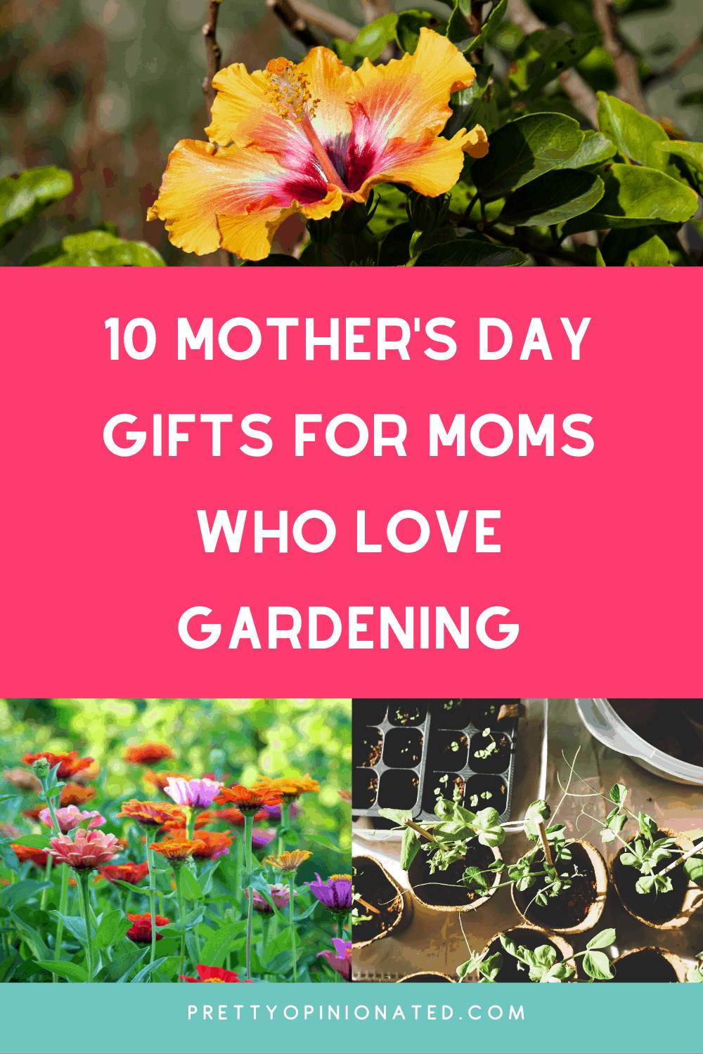 When you’re buying for someone who loves spending time in the garden, there’s a huge selection of great gift ideas out there. These 10 Great Gift Ideas for Mothers Who Love Gardening will help you find the perfect present!
