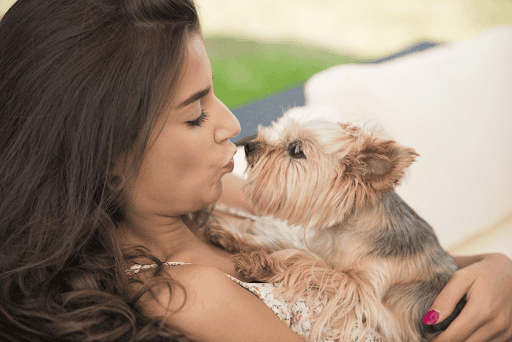 Tips for Pet Owners to Make Your Furry Friend Happier