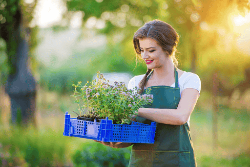 5 Gardening Tips to Transform Your Yard This Season