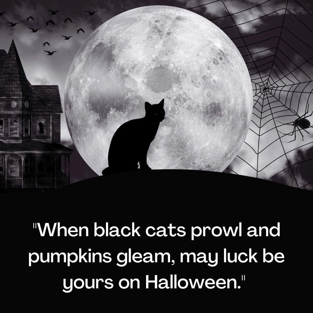39 Halloween Quotes to Get You in the Spooky Season Spirit 11 39 Halloween Quotes to Get You in the Spooky Season Spirit